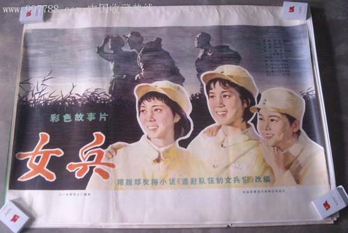 图卢兹-南比利牛斯联邦大学电子工程学位证书